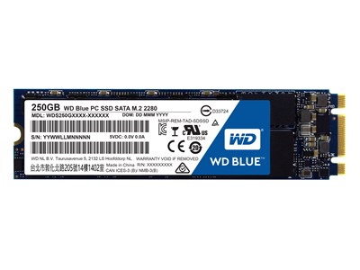 Western Digital Blue M.2 - 250 GB