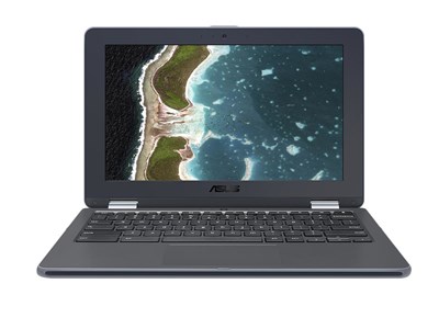 ASUS Chromebook PRO C213NA-BU0025