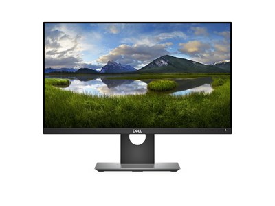 Outlet: DELL Professional P2418D